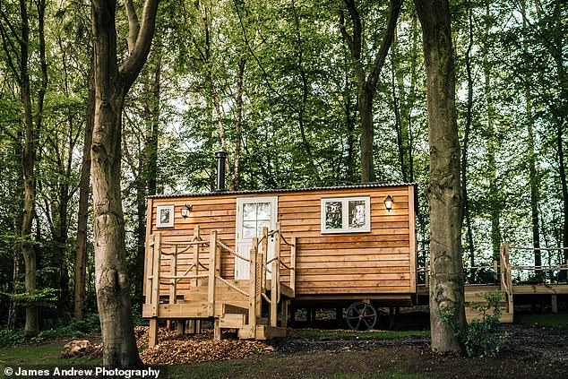 An ‘upmarket Center Parcs’: The Inspector reviews ‘back to nature’ hotel The Tawny in Staffordshire