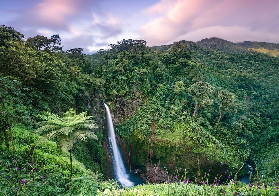 Experiencing Costa Rica’s wildlife and cocktails for the same price as a trip to Spain’s Costas