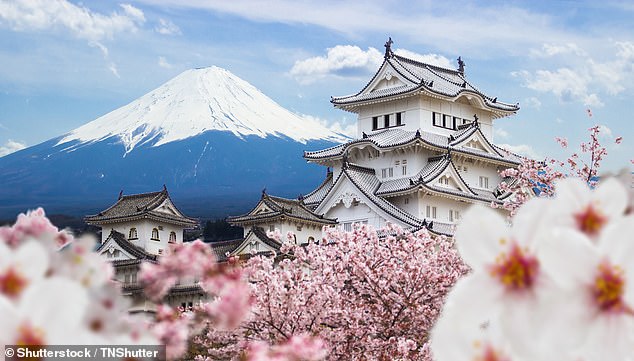 Japan to resume tourism in June – but only for package tours