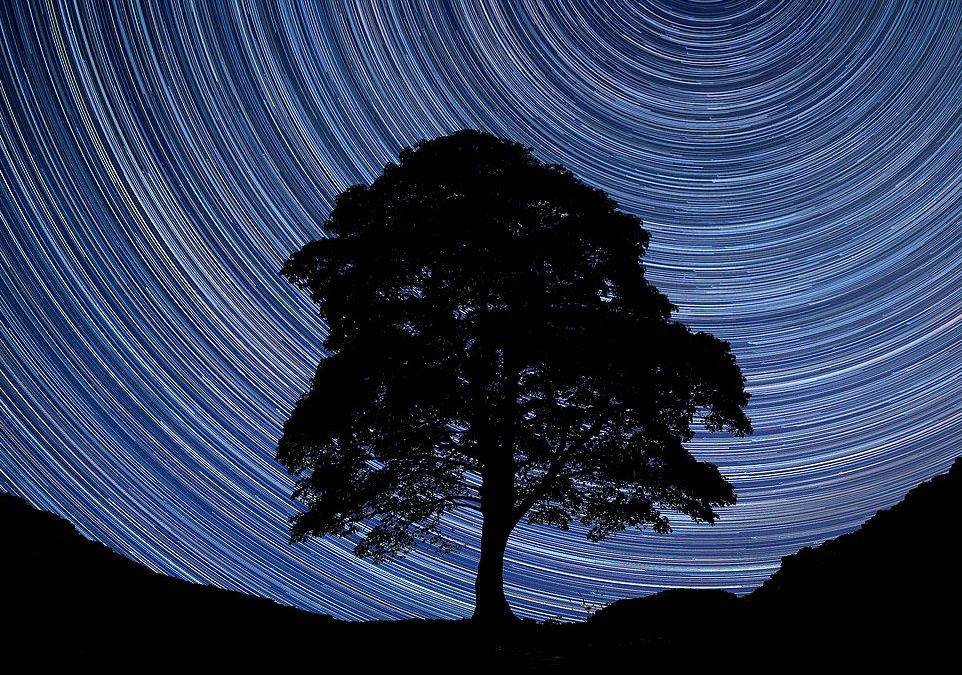 The 40 UK travel experiences to try before you turn 40, with stargazing in Northumberland No.1