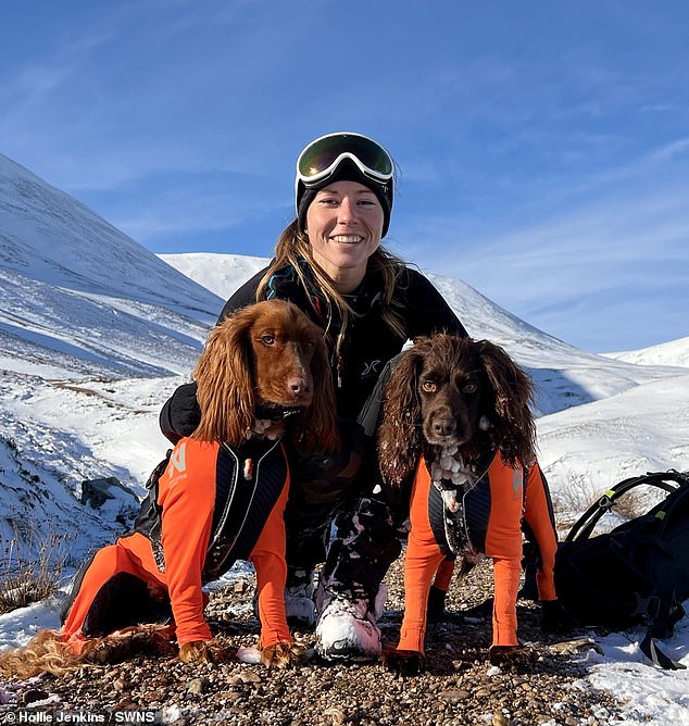 Adventurous spaniels love hiking and wild camping with their owner