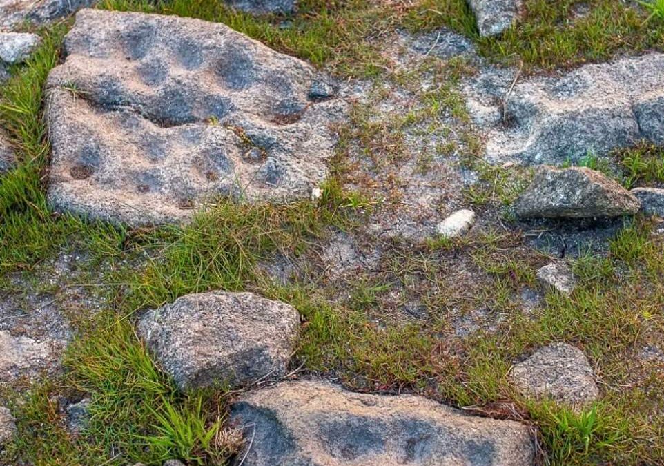 Ancient cup markings emerge at Cornwall’s Stithians Reservoir after water levels plummet in heatwave