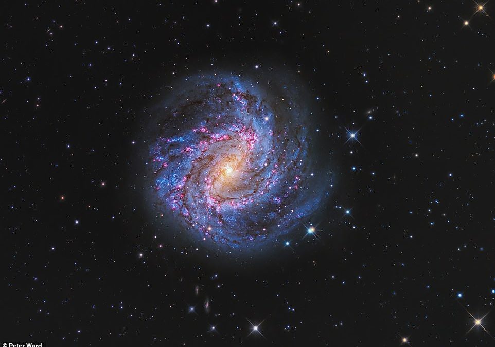 Astronomy Photographer of the Year shortlist is revealed