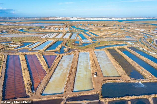 Discovering the ‘best salt in the world’ on a foodie road trip through Portugal’s Eastern Algarve