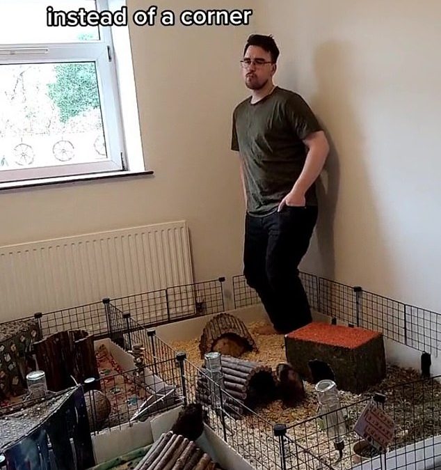 Man gives his beloved guinea pigs their own room in his two-bed flat