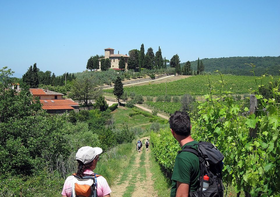 Saunter through Spain and potter through Provence: Last-minute walking holidays available in Europe