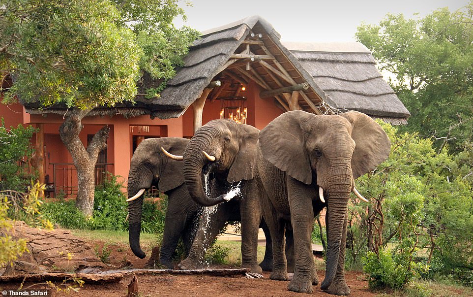 Thought you couldn’t take children on safari? Inside an amazing child-orientated South African camp