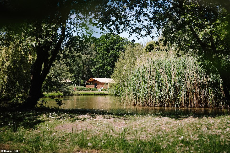 Cycling, kayaking, gourmet grub – why the New Forest is the perfect spot for a family adventure