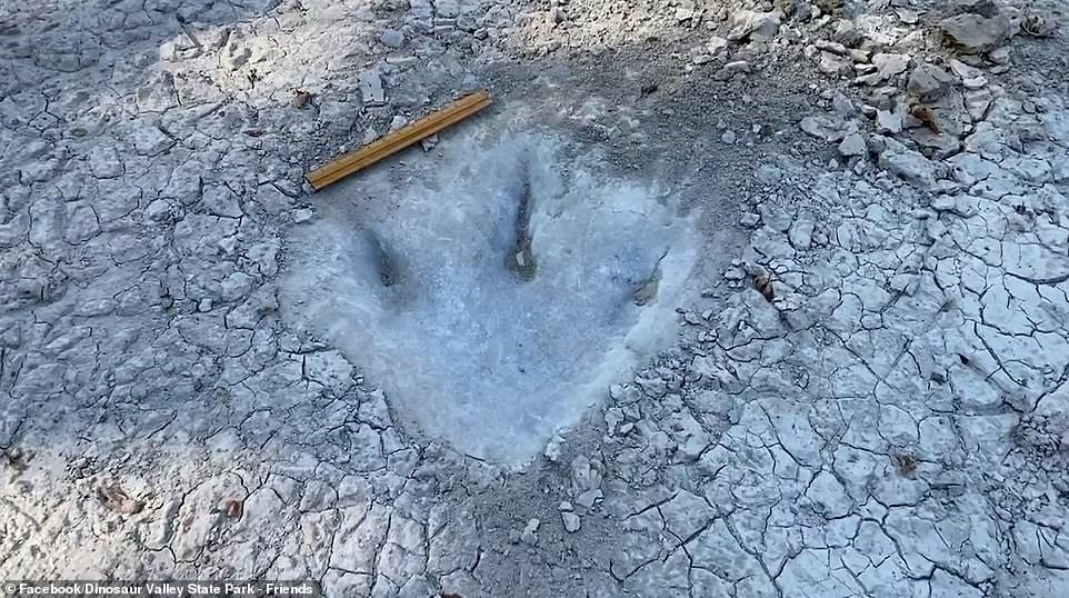 Dinosaur tracks from 113 million years ago uncovered due to severe drought