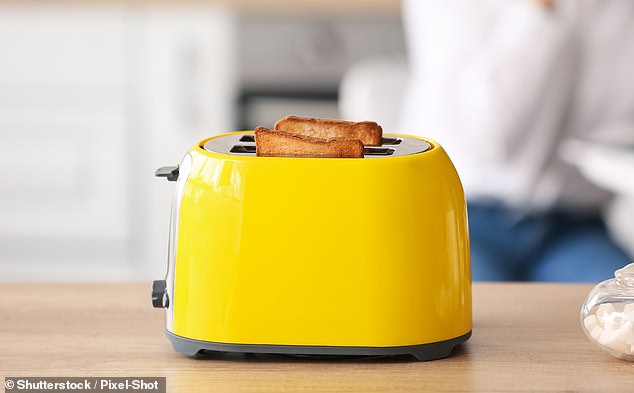 The bizarre items that Britons take on holiday, including kettles, oven trays and TOASTERS