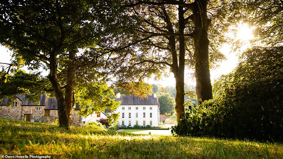 The Inspector is wooed by The Grove of Narberth, a ‘beautiful, somewhat quirky’ B&B in Wales