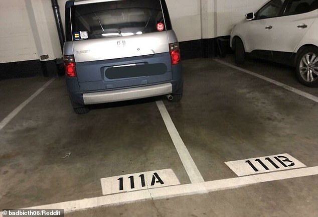 Are these the most irritating neighbours ever?