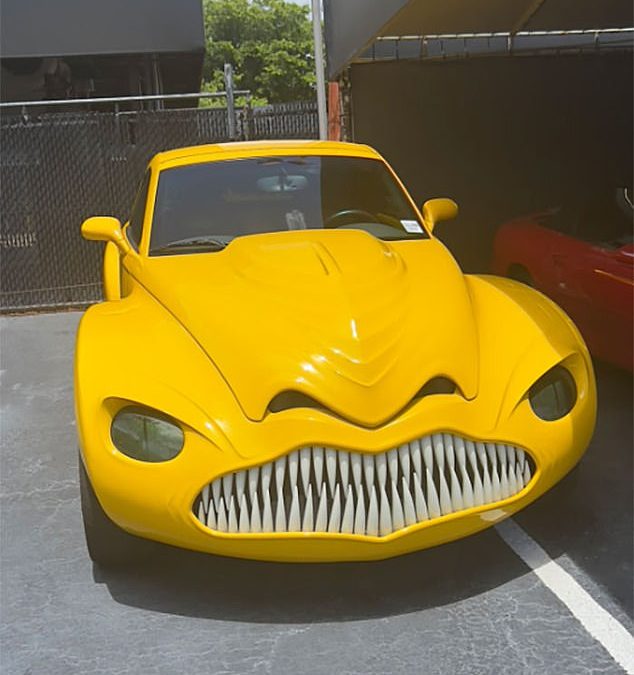 Social media users share the wackiest decorated cars roaming the roads