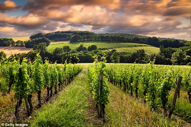 Exclusive for Mail on Sunday readers: Join chef Raymond Blanc for a true taste of Bordeaux
