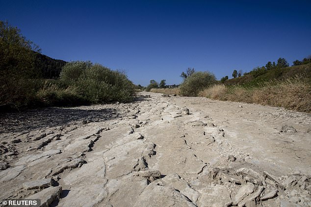 Heatwaves paired with dry conditions resulted in Europe’s hottest summer on record