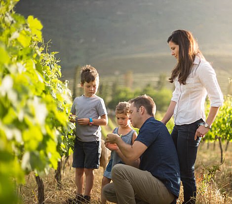 A guide to South Africa’s beautiful Cape winelands from top vineyards to gorgeous places to stay
