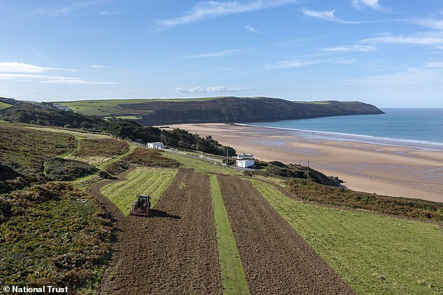 National Trust reveals plans to create a ‘savannah’ across 70 miles of Devon by 2030