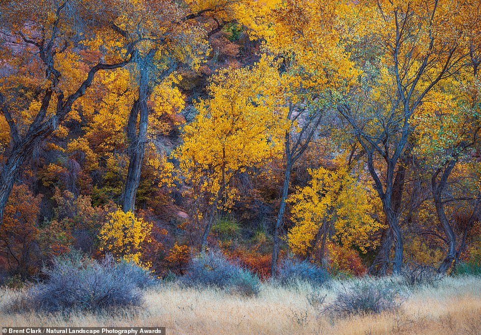 The amazing winners of a 2022 landscape photography contest that has strict rules on photoshopping