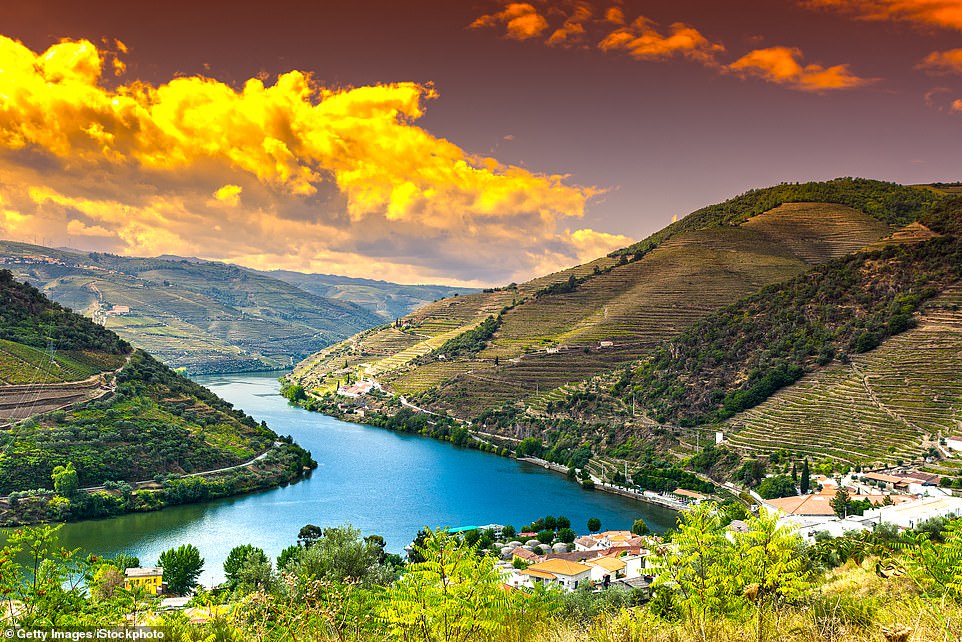 This Douro River cruise offers glorious scenery, historic Portuguese towns and lots of wine tastings