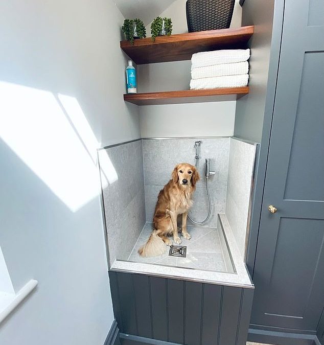 Why every des res needs to splash out on a doggy shower