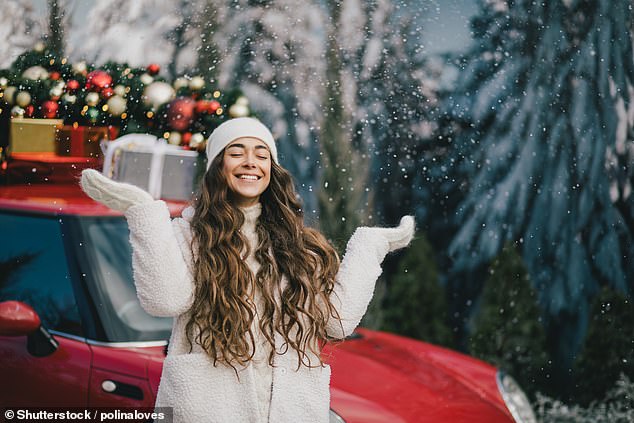 Chris Rea’s Driving Home for Christmas is voted the favourite song for a UK festive road journey