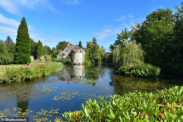 Mail on Sunday reader offer: Learn the secrets of English country gardens with Sarah Raven 
