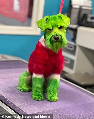 Mom hits back against criticism after showcasing dog Rizzo’s Christmas makeover