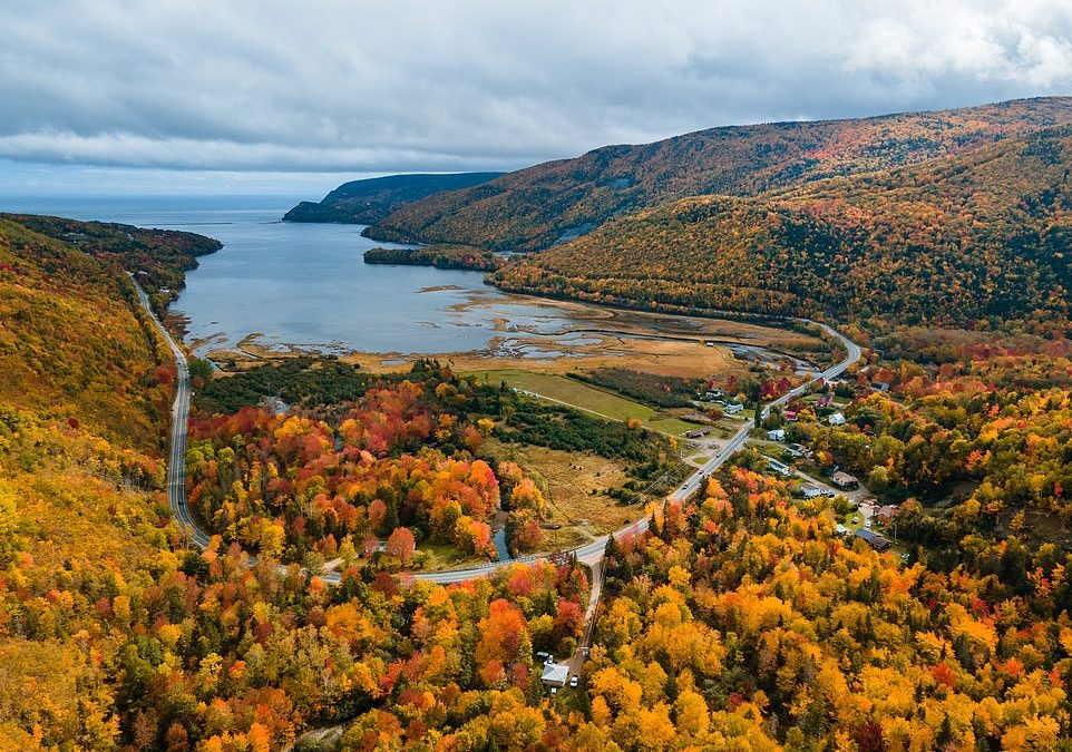 Super Nova Scotia: Discovering amazing wildlife on a 1,000-mile road trip through Canada
