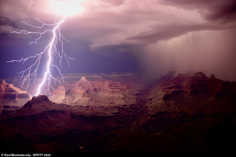 The astonishing winners of the Nature Photographer of the Year 2022 awards, from the U.S to Thailand