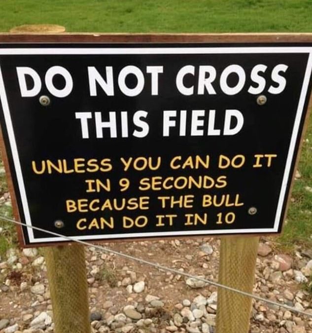 Who signed off on this? Bizarre notices will make you do a double take