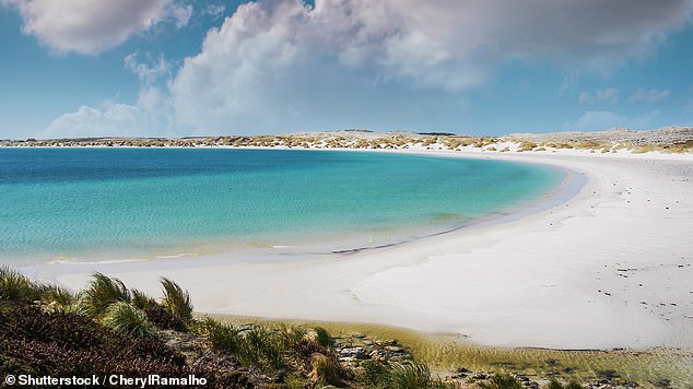 A little piece of Britain – a very long way from home: The joys of the Falklands archipelago