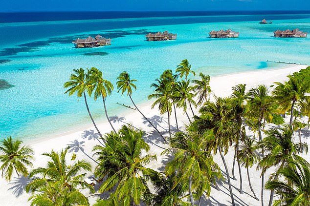 Forget flopping on the beach at this stunning Maldives resort – it’s perfect for surfing