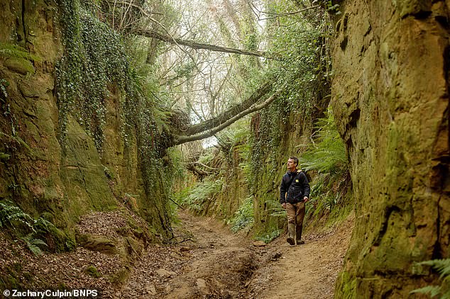 Hidden ancient trenches known as holloways which crisscross Britain’s countryside