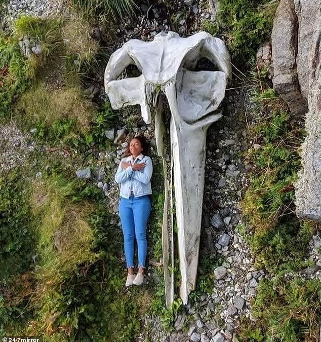 Incredible comparison photos will give you a whole new point of view