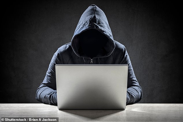 Ski chalet firm warns travellers to be alert to FAKE websites after customer is conned out of £135k 