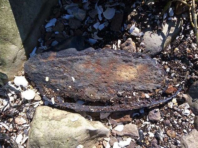Bronze Age child’s shoe suggests problem of toddlers dropping things stretches back 3,000 years