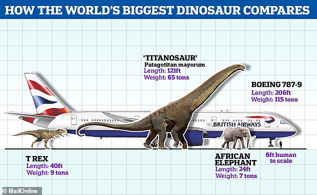 Earth’s biggest EVER dinosaur touches down in Britain ahead of its Natural History Museum unveiling