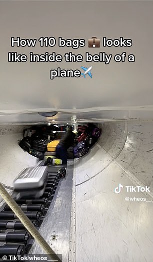 How is luggage stored on planes? Mesmerising video shows worker stacking luggage