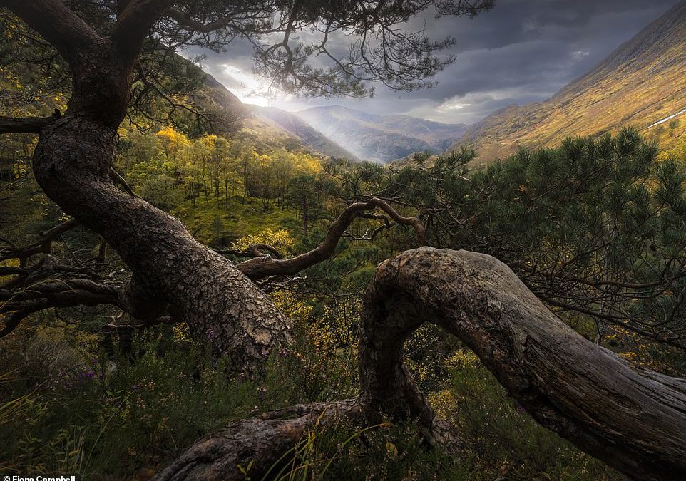 Scottish photographer’s incredible images of her home country show just why its landscape has it all