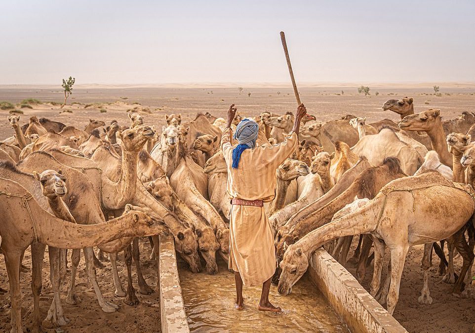 The astonishing winning shots in the 2022 Travel Photographer of the Year awards