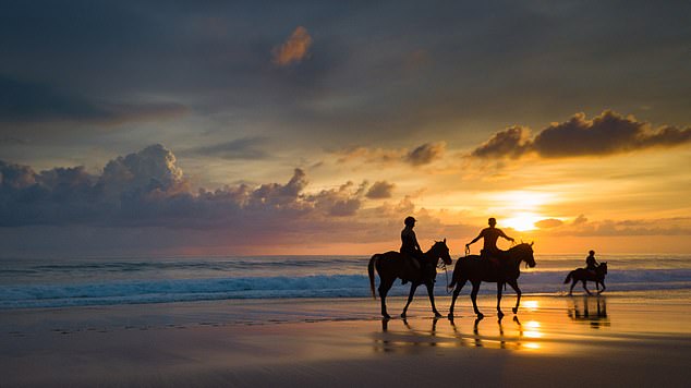 Travelling to idyllic Indonesia to try out a new wellness craze where the therapist is your horse