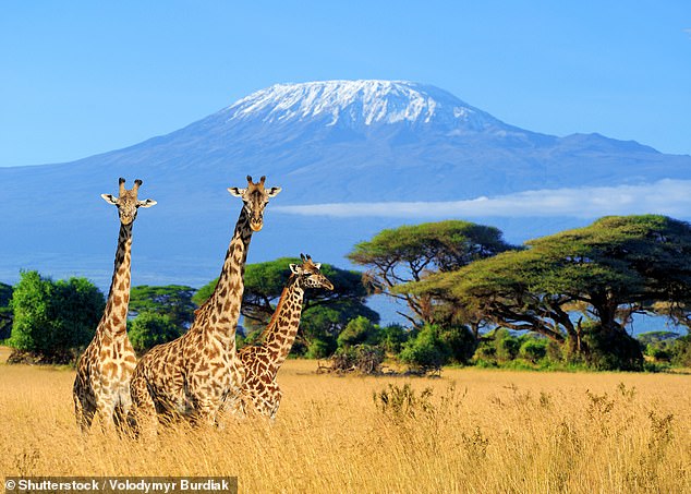 Amazing holidays for the over-50s, from safaris to walking and cycling tours in Spain and Portugal