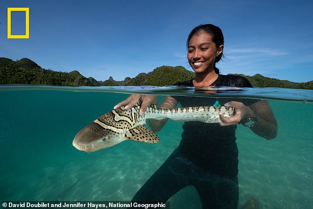 Baby sharks named Charlie and Kathlyn are first of 500 set to be released in Indonesia waters