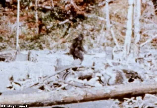 Bigfoot: Top theories of the hairy ape-man – from a lost hominid to a Native American nature spirit 