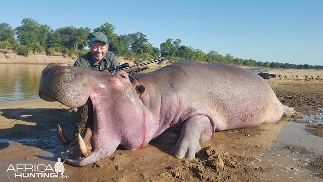 Campaigner prepares to name and shame 100 hunters in his new book