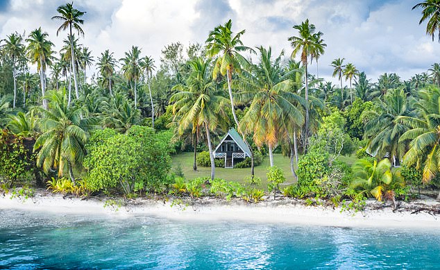 From deserted beaches to fantastic fly-fishing: The joys of the island of Alphonse in the Seychelles