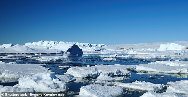 Melting Antarctic ice will slow down a major global deep ocean current by 40% by 2050