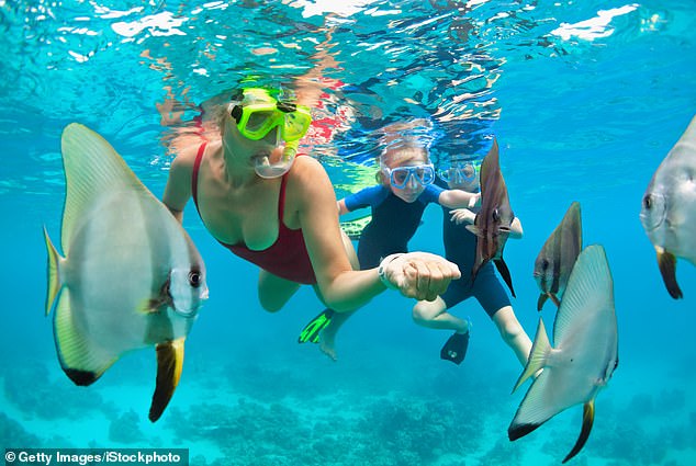 The best bonding holidays for families, from Croatia to New York