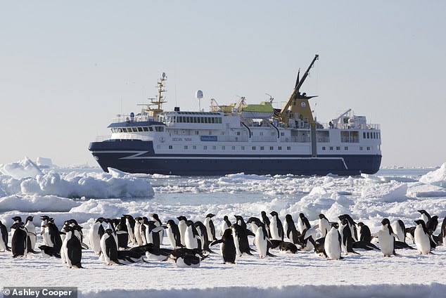 The best cruises to book right now – plus a dream trip to Antarctica that you can WIN