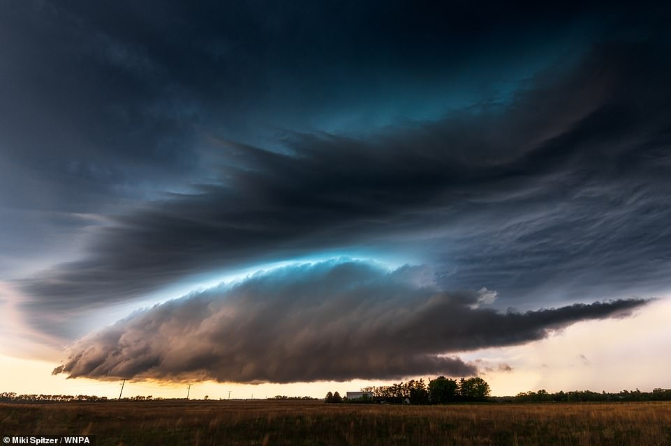 The stunning winners of the 2022 World Nature Photography Awards revealed 